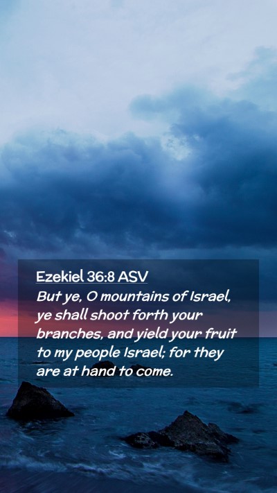 Picture 02 - Ezekiel 36:8 ASV Mobile Phone Wallpaper - But ye, O mountains of Israel, ye shall shoot - Mobile Bible Verse Wallpaper
