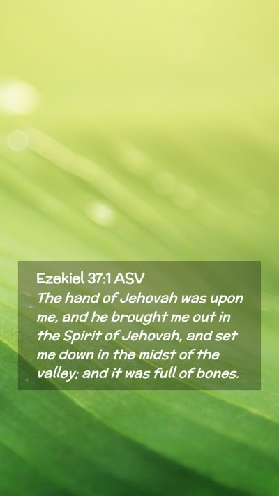 Picture 02 - Ezekiel 37:1 ASV Mobile Phone Wallpaper - The hand of Jehovah was upon me, and he brought - Mobile Bible Verse Wallpaper