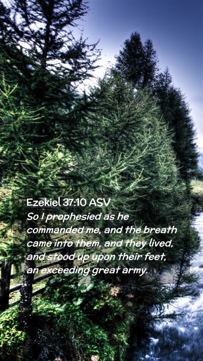 Picture 02 - Ezekiel 37:10 ASV Mobile Phone Wallpaper - So I prophesied as he commanded me, and the - Mobile Bible Verse Wallpaper