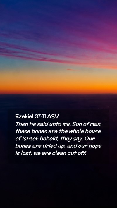 Picture 02 - Ezekiel 37:11 ASV Mobile Phone Wallpaper - Then he said unto me, Son of man, these bones are - Mobile Bible Verse Wallpaper