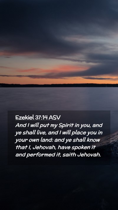 Picture 02 - Ezekiel 37:14 ASV Mobile Phone Wallpaper - And I will put my Spirit in you, and ye shall - Mobile Bible Verse Wallpaper
