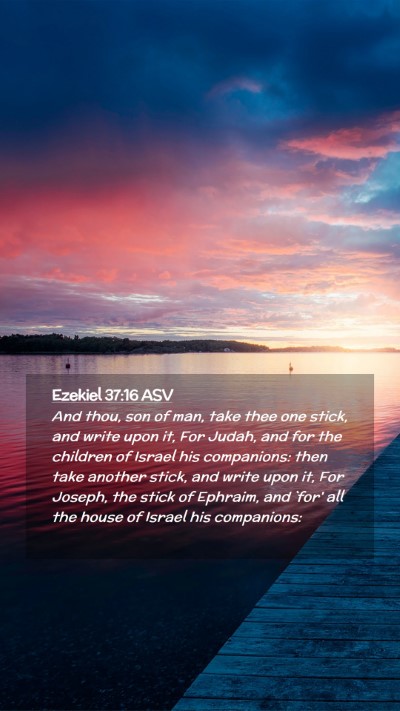 Picture 02 - Ezekiel 37:16 ASV Mobile Phone Wallpaper - And thou, son of man, take thee one stick, and - Mobile Bible Verse Wallpaper