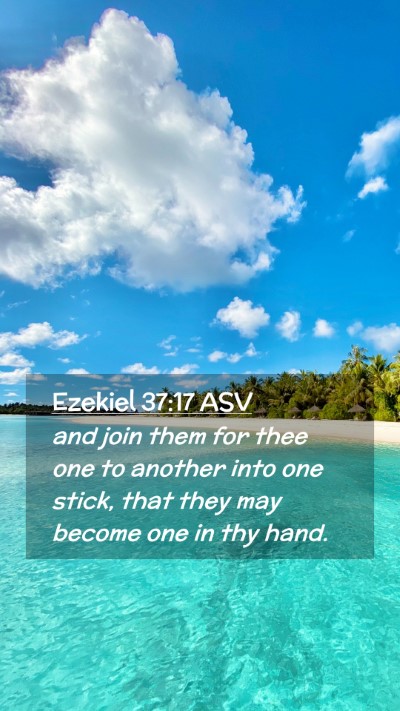 Picture 02 - Ezekiel 37:17 ASV Mobile Phone Wallpaper - and join them for thee one to another into one - Mobile Bible Verse Wallpaper