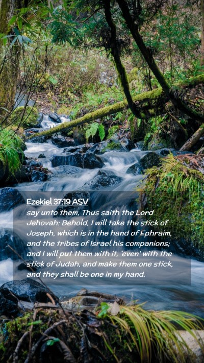 Picture 02 - Ezekiel 37:19 ASV Mobile Phone Wallpaper - say unto them, Thus saith the Lord Jehovah: - Mobile Bible Verse Wallpaper