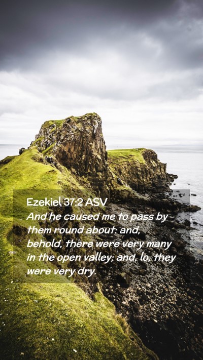 Picture 02 - Ezekiel 37:2 ASV Mobile Phone Wallpaper - And he caused me to pass by them round about: - Mobile Bible Verse Wallpaper