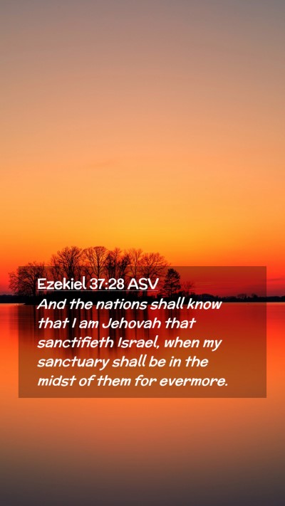 Picture 02 - Ezekiel 37:28 ASV Mobile Phone Wallpaper - And the nations shall know that I am Jehovah that - Mobile Bible Verse Wallpaper