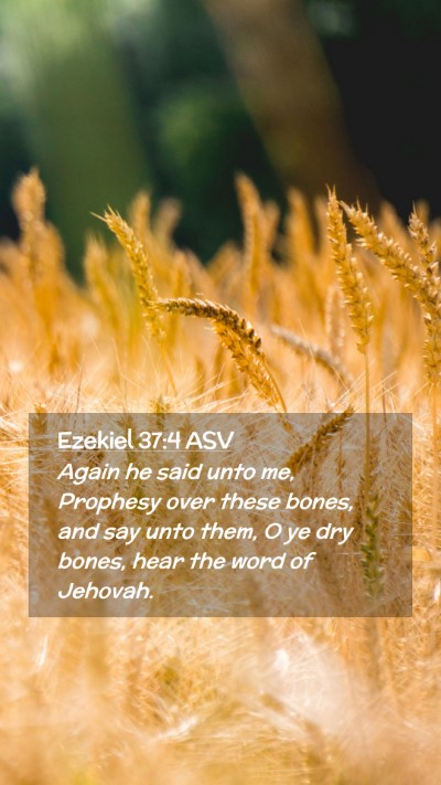 Picture 02 - Ezekiel 37:4 ASV Mobile Phone Wallpaper - Again he said unto me, Prophesy over these bones, - Mobile Bible Verse Wallpaper