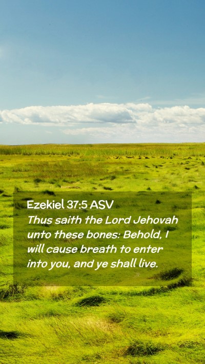 Picture 02 - Ezekiel 37:5 ASV Mobile Phone Wallpaper - Thus saith the Lord Jehovah unto these bones: - Mobile Bible Verse Wallpaper