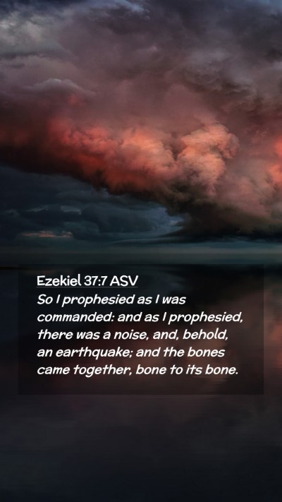 Picture 02 - Ezekiel 37:7 ASV Mobile Phone Wallpaper - So I prophesied as I was commanded: and as I - Mobile Bible Verse Wallpaper