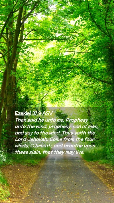 Picture 02 - Ezekiel 37:9 ASV Mobile Phone Wallpaper - Then said he unto me, Prophesy unto the wind, - Mobile Bible Verse Wallpaper