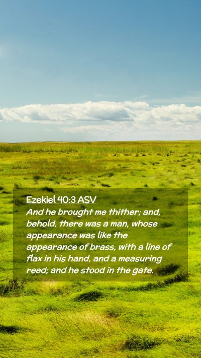 Picture 02 - Ezekiel 40:3 ASV Mobile Phone Wallpaper - And he brought me thither; and, behold, there was - Mobile Bible Verse Wallpaper