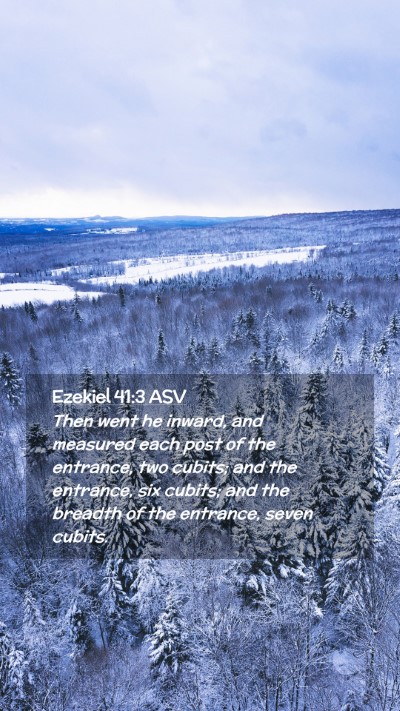 Picture 02 - Ezekiel 41:3 ASV Mobile Phone Wallpaper - Then went he inward, and measured each post of - Mobile Bible Verse Wallpaper