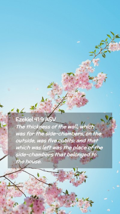 Picture 02 - Ezekiel 41:9 ASV Mobile Phone Wallpaper - The thickness of the wall, which was for the - Mobile Bible Verse Wallpaper