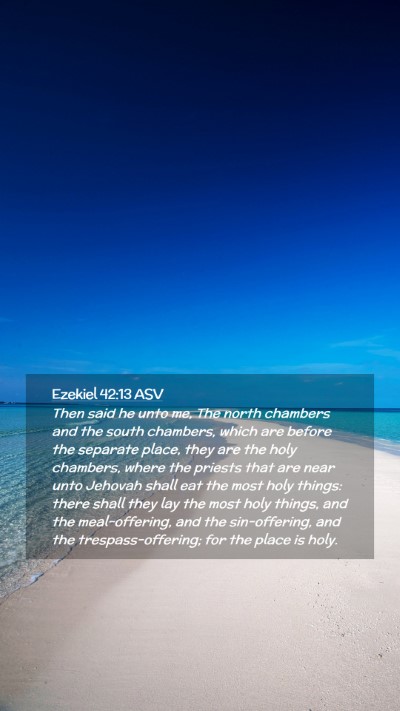 Picture 02 - Ezekiel 42:13 ASV Mobile Phone Wallpaper - Then said he unto me, The north chambers and the - Mobile Bible Verse Wallpaper