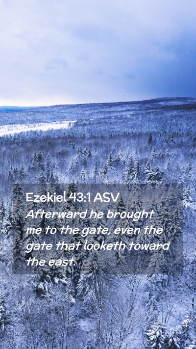 Picture 02 - Ezekiel 43:1 ASV Mobile Phone Wallpaper - Afterward he brought me to the gate, even the - Mobile Bible Verse Wallpaper