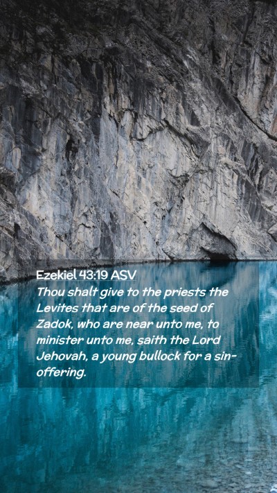 Picture 02 - Ezekiel 43:19 ASV Mobile Phone Wallpaper - Thou shalt give to the priests the Levites that - Mobile Bible Verse Wallpaper
