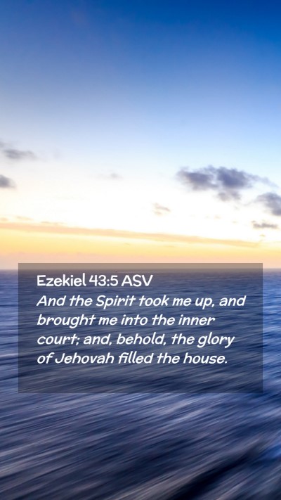 Picture 02 - Ezekiel 43:5 ASV Mobile Phone Wallpaper - And the Spirit took me up, and brought me into - Mobile Bible Verse Wallpaper