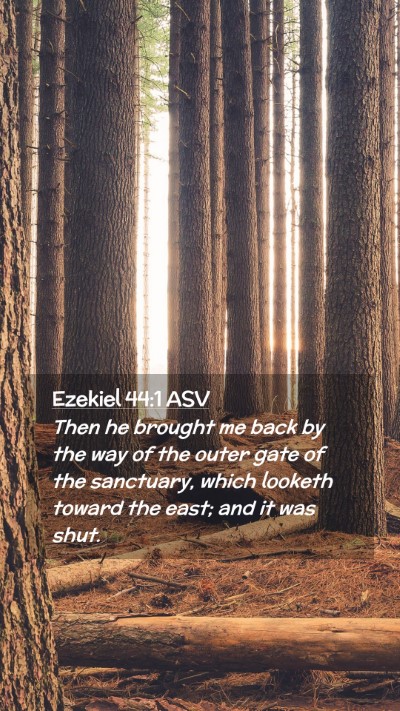 Picture 02 - Ezekiel 44:1 ASV Mobile Phone Wallpaper - Then he brought me back by the way of the outer - Mobile Bible Verse Wallpaper