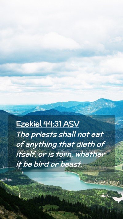 Picture 02 - Ezekiel 44:31 ASV Mobile Phone Wallpaper - The priests shall not eat of anything that dieth - Mobile Bible Verse Wallpaper