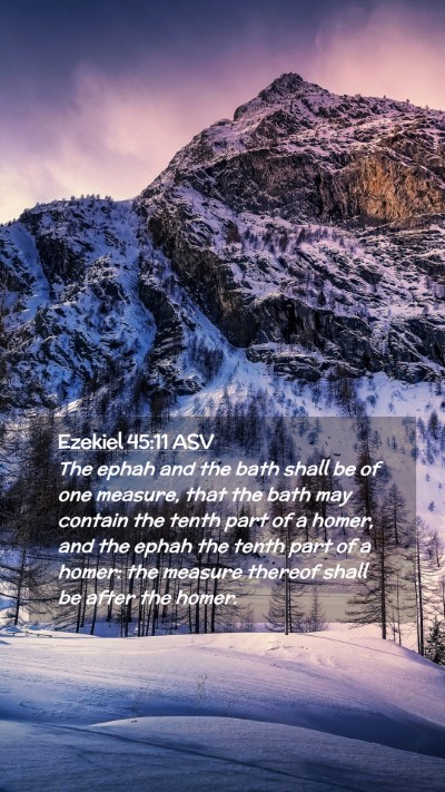 Picture 02 - Ezekiel 45:11 ASV Mobile Phone Wallpaper - The ephah and the bath shall be of one measure, - Mobile Bible Verse Wallpaper