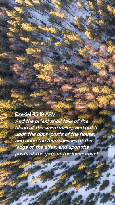 Picture 02 - Ezekiel 45:19 ASV Mobile Phone Wallpaper - And the priest shall take of the blood of the - Mobile Bible Verse Wallpaper