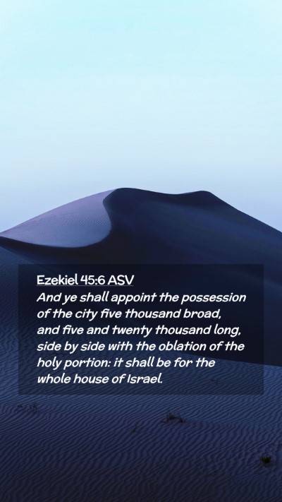 Picture 02 - Ezekiel 45:6 ASV Mobile Phone Wallpaper - And ye shall appoint the possession of the city - Mobile Bible Verse Wallpaper