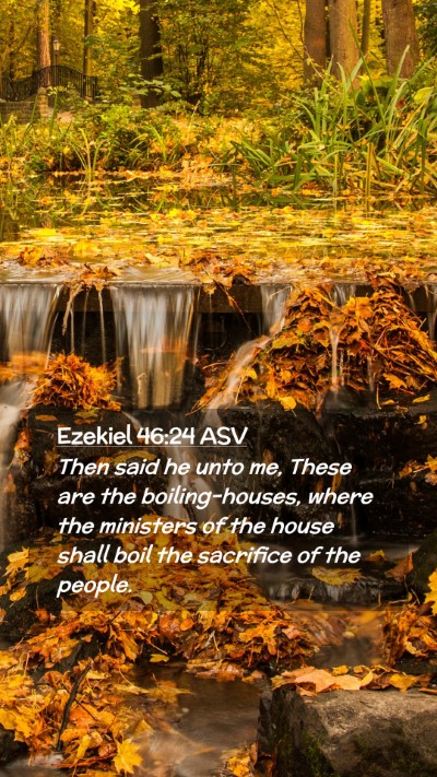 Picture 02 - Ezekiel 46:24 ASV Mobile Phone Wallpaper - Then said he unto me, These are the - Mobile Bible Verse Wallpaper