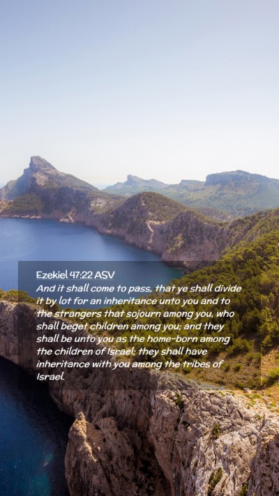Picture 02 - Ezekiel 47:22 ASV Mobile Phone Wallpaper - And it shall come to pass, that ye shall divide - Mobile Bible Verse Wallpaper