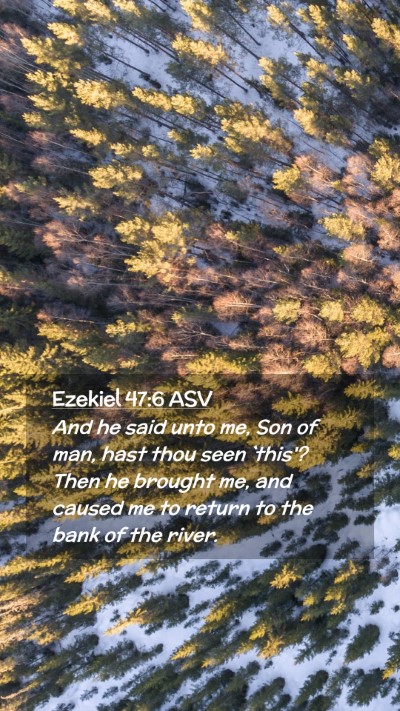 Picture 02 - Ezekiel 47:6 ASV Mobile Phone Wallpaper - And he said unto me, Son of man, hast thou seen - Mobile Bible Verse Wallpaper