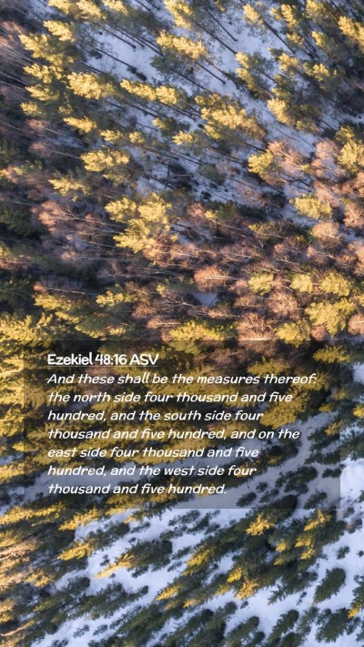 Picture 02 - Ezekiel 48:16 ASV Mobile Phone Wallpaper - And these shall be the measures thereof: the - Mobile Bible Verse Wallpaper