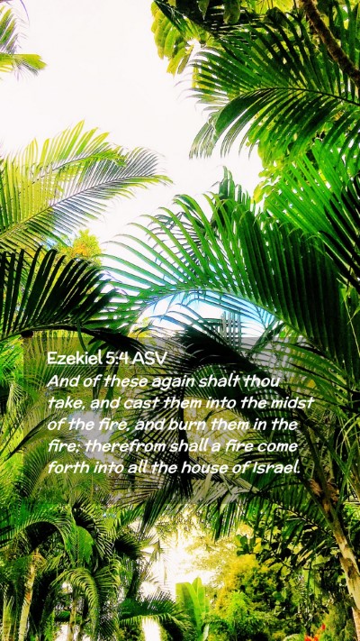 Picture 02 - Ezekiel 5:4 ASV Mobile Phone Wallpaper - And of these again shalt thou take, and cast them - Mobile Bible Verse Wallpaper