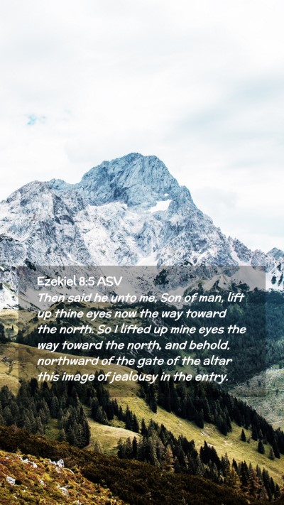 Picture 02 - Ezekiel 8:5 ASV Mobile Phone Wallpaper - Then said he unto me, Son of man, lift up thine - Mobile Bible Verse Wallpaper