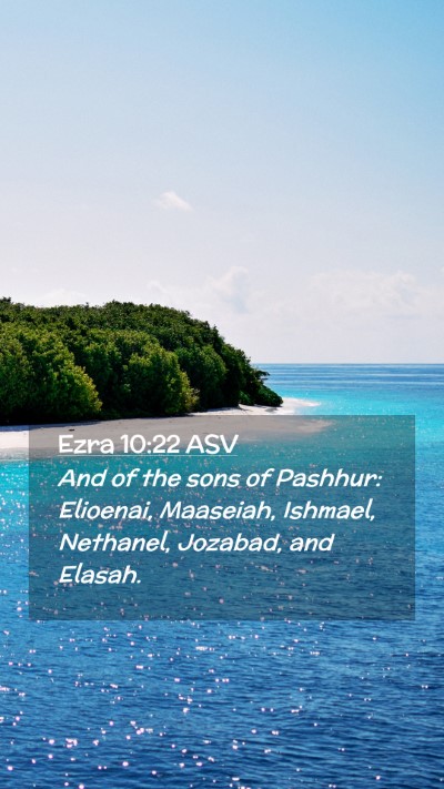 Picture 02 - Ezra 10:22 ASV Mobile Phone Wallpaper - And of the sons of Pashhur: Elioenai, Maaseiah, - Mobile Bible Verse Wallpaper
