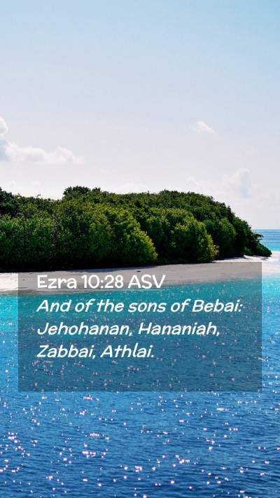 Picture 02 - Ezra 10:28 ASV Mobile Phone Wallpaper - And of the sons of Bebai: Jehohanan, Hananiah, - Mobile Bible Verse Wallpaper