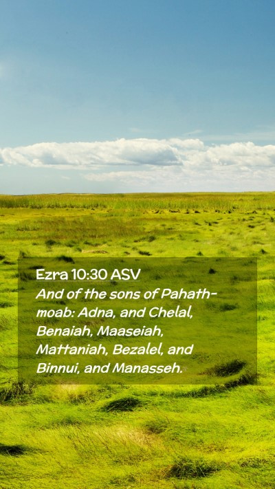 Picture 02 - Ezra 10:30 ASV Mobile Phone Wallpaper - And of the sons of Pahath-moab: Adna, and Chelal, - Mobile Bible Verse Wallpaper