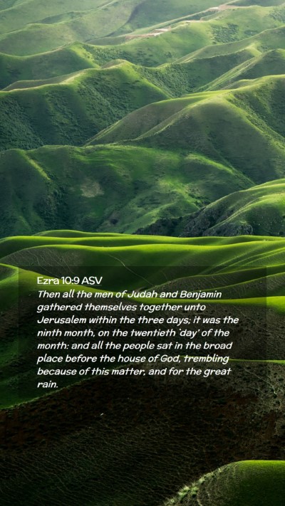 Picture 02 - Ezra 10:9 ASV Mobile Phone Wallpaper - Then all the men of Judah and Benjamin gathered - Mobile Bible Verse Wallpaper