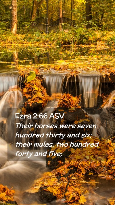Picture 02 - Ezra 2:66 ASV Mobile Phone Wallpaper - Their horses were seven hundred thirty and six; - Mobile Bible Verse Wallpaper