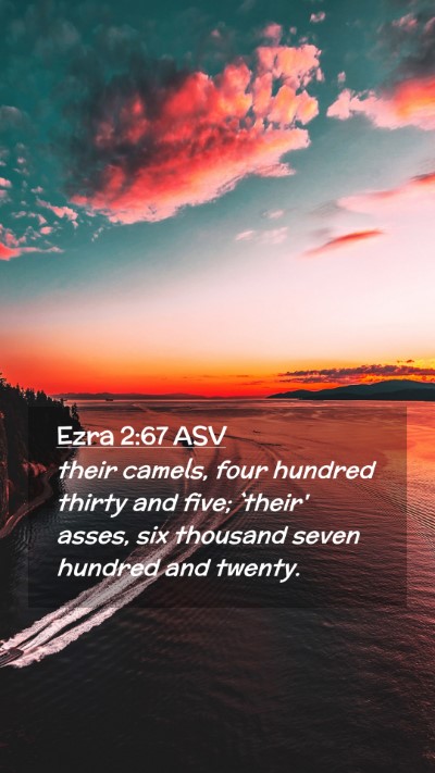 Picture 02 - Ezra 2:67 ASV Mobile Phone Wallpaper - their camels, four hundred thirty and five; - Mobile Bible Verse Wallpaper