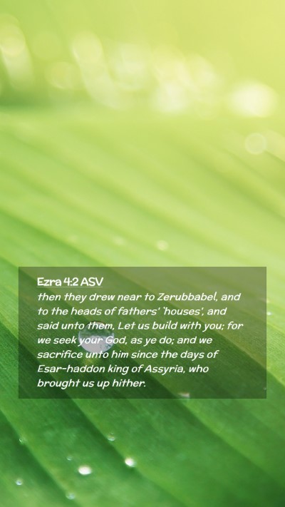 Picture 02 - Ezra 4:2 ASV Mobile Phone Wallpaper - then they drew near to Zerubbabel, and to the - Mobile Bible Verse Wallpaper