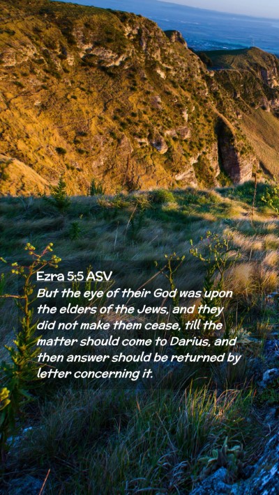Picture 02 - Ezra 5:5 ASV Mobile Phone Wallpaper - But the eye of their God was upon the elders of - Mobile Bible Verse Wallpaper