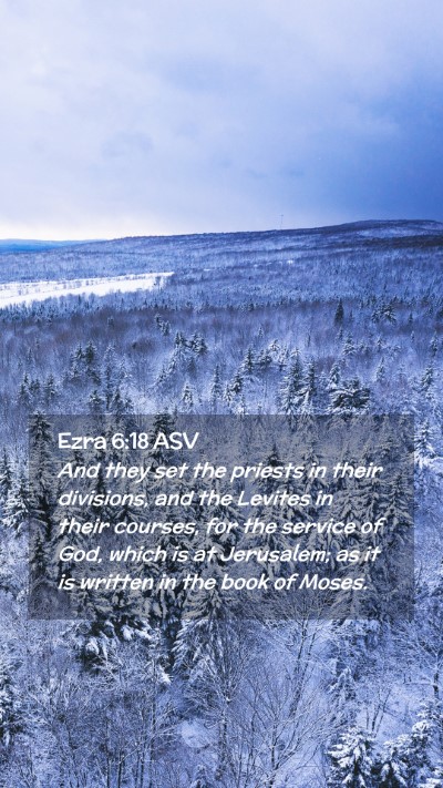 Picture 02 - Ezra 6:18 ASV Mobile Phone Wallpaper - And they set the priests in their divisions, and - Mobile Bible Verse Wallpaper