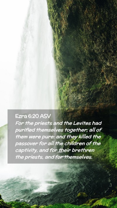 Picture 02 - Ezra 6:20 ASV Mobile Phone Wallpaper - For the priests and the Levites had purified - Mobile Bible Verse Wallpaper