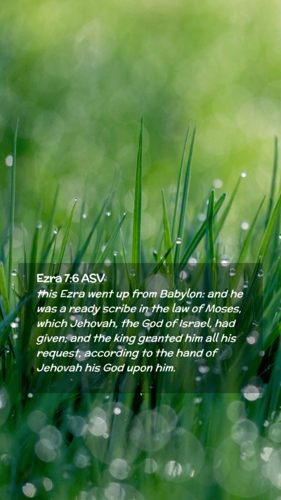 Picture 02 - Ezra 7:6 ASV Mobile Phone Wallpaper - this Ezra went up from Babylon: and he was a - Mobile Bible Verse Wallpaper