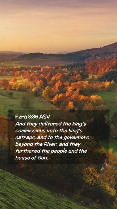 Picture 02 - Ezra 8:36 ASV Mobile Phone Wallpaper - And they delivered the king's commissions unto - Mobile Bible Verse Wallpaper