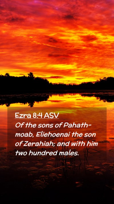 Picture 02 - Ezra 8:4 ASV Mobile Phone Wallpaper - Of the sons of Pahath-moab, Eliehoenai the son of - Mobile Bible Verse Wallpaper