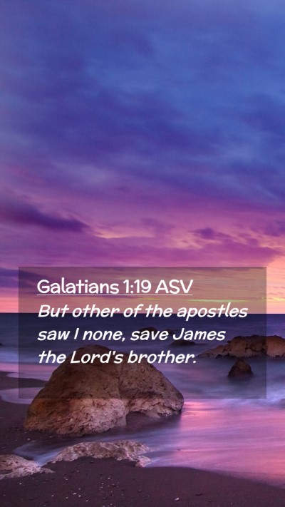 Picture 02 - Galatians 1:19 ASV Mobile Phone Wallpaper - But other of the apostles saw I none, save James - Mobile Bible Verse Wallpaper