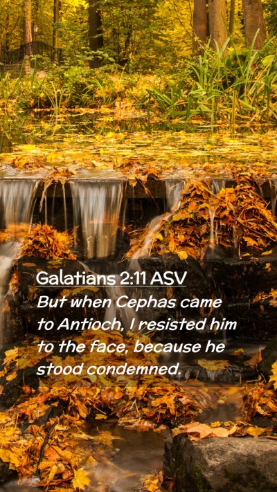 Picture 02 - Galatians 2:11 ASV Mobile Phone Wallpaper - But when Cephas came to Antioch, I resisted him - Mobile Bible Verse Wallpaper