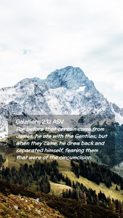 Picture 02 - Galatians 2:12 ASV Mobile Phone Wallpaper - For before that certain came from James, he ate - Mobile Bible Verse Wallpaper