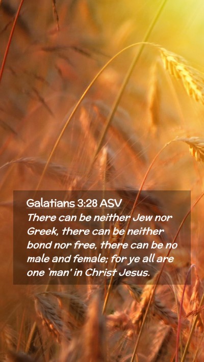 Picture 02 - Galatians 3:28 ASV Mobile Phone Wallpaper - There can be neither Jew nor Greek, there can be - Mobile Bible Verse Wallpaper