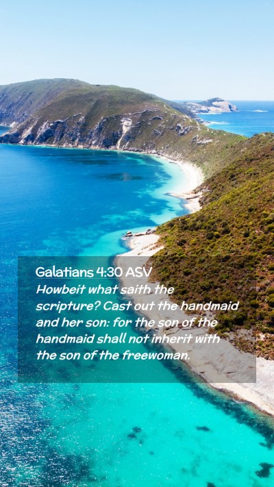 Picture 02 - Galatians 4:30 ASV Mobile Phone Wallpaper - Howbeit what saith the scripture? Cast out the - Mobile Bible Verse Wallpaper